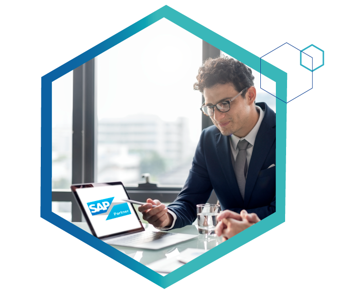SI Consulting