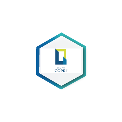 COPRI Socios SI Consulting