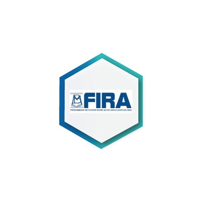 Fira Socios SI Consulting