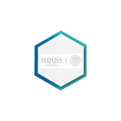 Sedena Socios SI Consulting